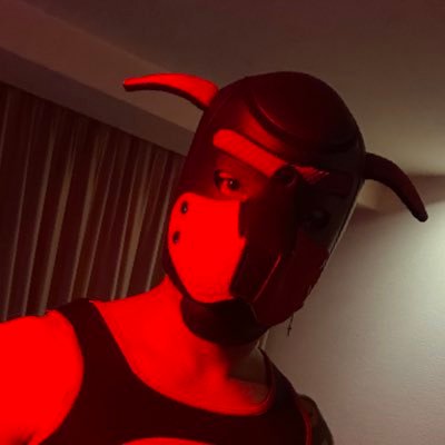 UrBoyTomm's profile picture. inter chihuahua / fumes / sex /