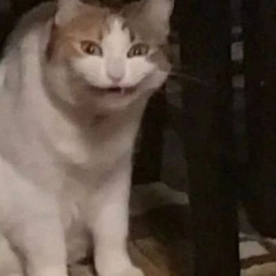 hyoga_xzz's profile picture. 