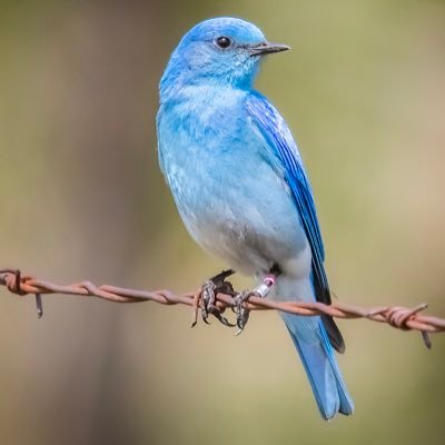 Linking wildlife, agriculture and industry. Promoting environmental education for generations to come. Visit our cafe, visitor centre, gardens, and woodlands.