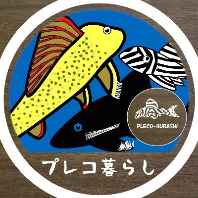 pleco_gurashi Profile Picture