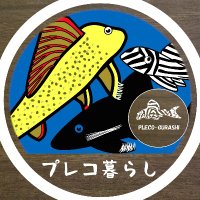 プレコ暮らし🐟アクア&アート🎨 (@pleco_gurashi) 's Twitter Profile Photo プレコ暮らし🐟アクア&アート🎨 (@pleco_gurashi) 's Twitter Profile Photo