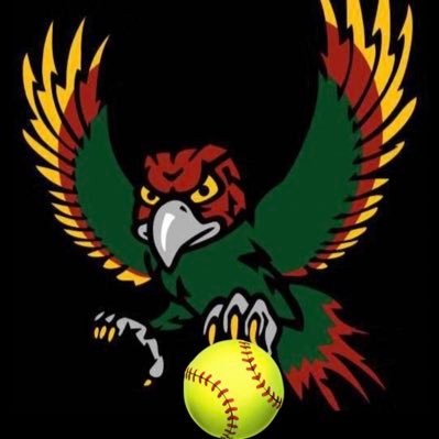 Official Twitter account for Free State Firebird Softball | 2018 & 2019 Kansas State Champions Instagram: @fssoftball