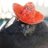 House Of The Dragon Funny Tweets Episode 5 - 47