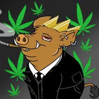 High Hogs Reborn (@highhogsnft) 's Twitter Profile