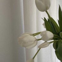 َ (@wjs93) 's Twitter Profile Photo