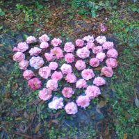 Barbaraf🌻🇺🇦📿🪔😸🐾 (@barbarafcurry) 's Twitter Profile