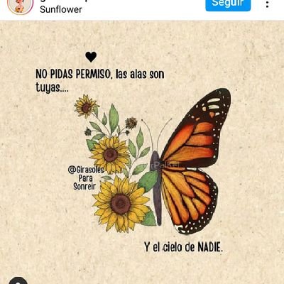 MarcelaCotichi1's profile picture. Entiendo un poco la mente bumana