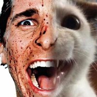 Patatawd (@patata9711) 's Twitter Profile