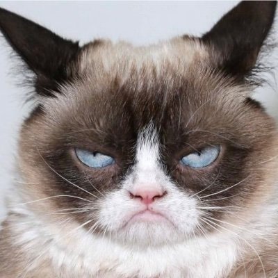 Osk19781's profile picture. $GME