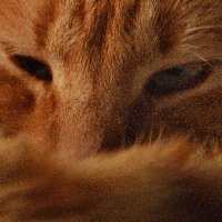 Zhaman (@hardchicha) 's Twitter Profile Photo