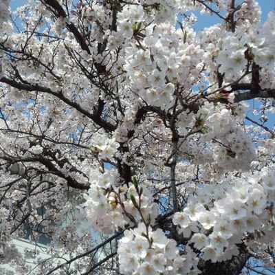 H8zeunW71w3Grpm's profile picture. 平穏無事な日々を生きて行きたい