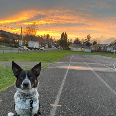 JRProctor6's profile picture. here 4 the few remaining tweets on urban design