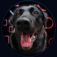 fireblitz95 🏆 🎮 (@fireblitz95) 's Twitter Profile