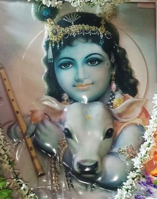 MGRocK05's profile picture. Honesty, Humanity and Simplicity is the identity of a human being