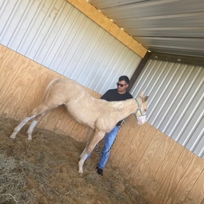 alex_dosal00's profile picture. Durango🦂