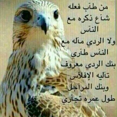 من عوَّد بصره النظر إلى الحرام،سُلِبَ نور البصيرة،فإياك إياك أن تُعمي بصيرتكَ ببصرك،فمن غضَّ عن الحرام رُزق الفراسة والبصيرة.