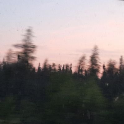 Shadowlynx17's profile picture. 