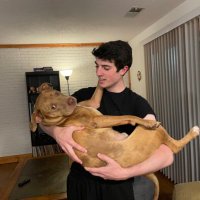 alex whittington (@alexwhittingt14) 's Twitter Profile