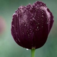 ✨rahmanambai✨ (@rahmanambai) 's Twitter Profile