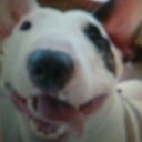 Alice Nam - @ayalice - Twitter