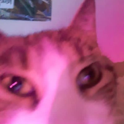 fizzyru's profile picture. 😧