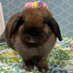 å±±åŽéä¹äž (@yamazakiginnojo) Twitter profile photo å±±åŽéä¹äž (@yamazakiginnojo) Twitter profile photo