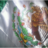 Actitud por Mexico