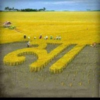 Bd Group (@bdgroup13) 's Twitter Profile