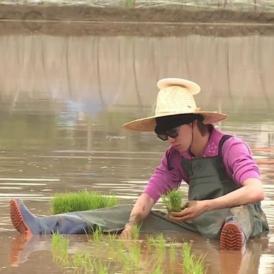 2022caratmagic's profile picture. sUndAY mOrNInG ~ #seventeen #carat