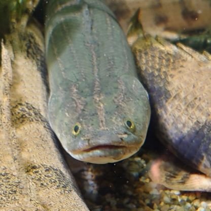 siro160906's profile picture. サブ垢
⛩️⛩️⛩️⛩️⛩️⛩️⛩️⛩️⛩️