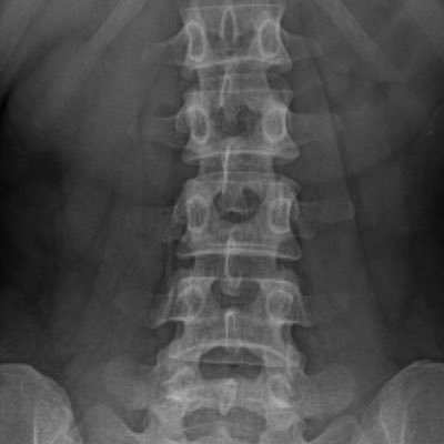 mengzi_joe's profile picture. 