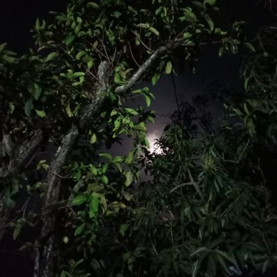 tyyaass24's profile picture. nothing.