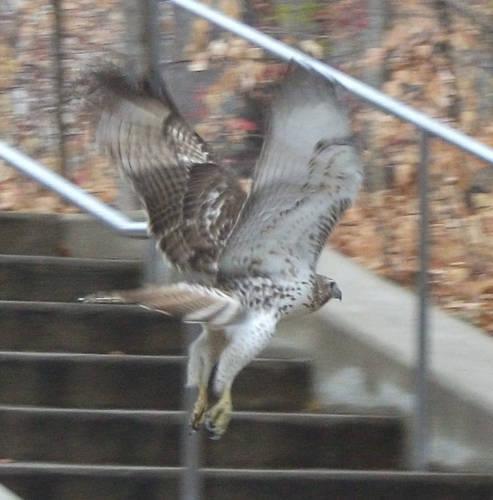 allsyst3msgo's profile picture. 