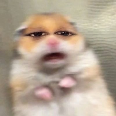 _t_girl's profile picture. 