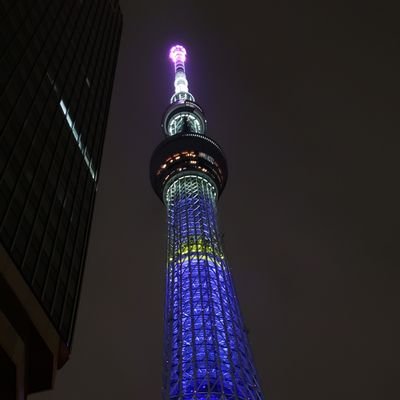 Nore_1200's profile picture. あまり呟きませんが、フォロー返します(無言フォローします)      EXVSシリーズ、マリーンズ、ウマ娘、学マス、SF6など    Discord:Nore1200#7564