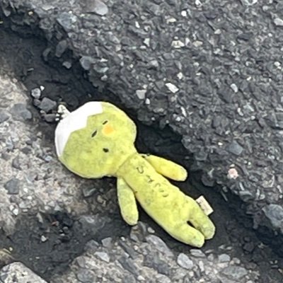 Omochi_sosere's profile picture. 普通の高校生だよ