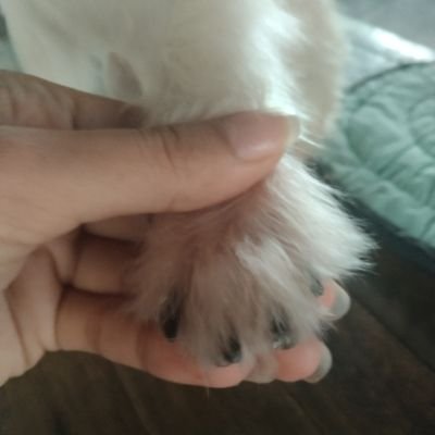 jewelsmndz's profile picture. blonde