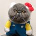 0xCharlie (@0xcharlieche) Twitter profile photo 0xCharlie (@0xcharlieche) Twitter profile photo