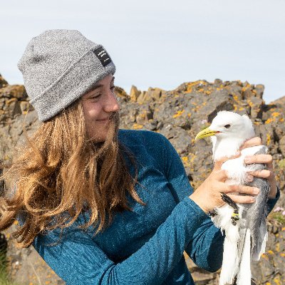 #Arctic #Seabird and #Seaduck #Biologist with @environmentca, and PhD Candidate @mcgillu | Tweets are my own (She/her)