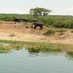 Murchison Falls National Park (@murchisonpark) Twitter profile photo Murchison Falls National Park (@murchisonpark) Twitter profile photo