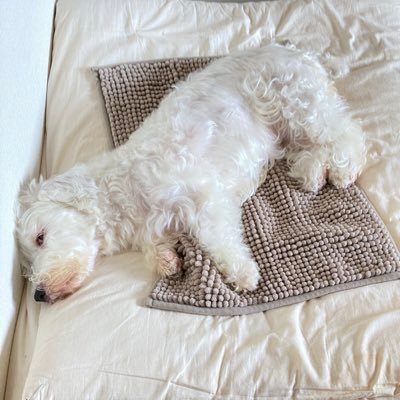 muukaor's profile picture. 