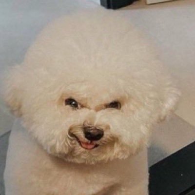 cin_kyn's profile picture. this is my private space that you are not allowed