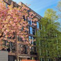 CELP CONFERENCE 2022, University of Manchester. (@celpconf2022) 's Twitter Profile Photo