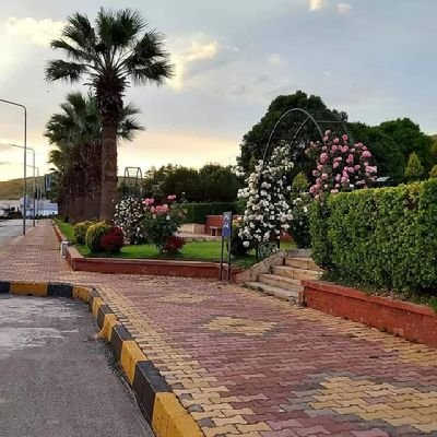 Abowsam112233's profile picture. 