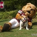 Bill Emery - @BillWEmery - Twitter