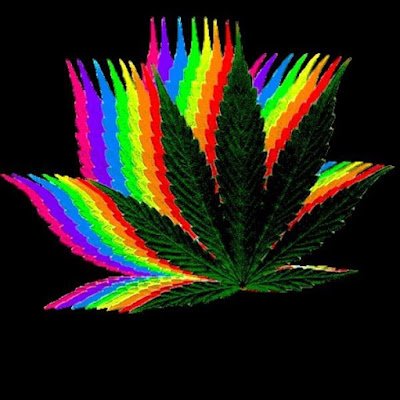 FlipPrespective's profile picture. 😐