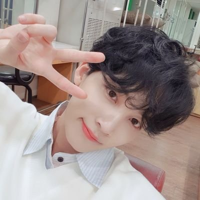 fan account only | shingi bangi bboong bboong bangi 𖧷🪄