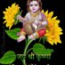 Raj bihari Yadav (@rajbihariyada13) Twitter profile photo Raj bihari Yadav (@rajbihariyada13) Twitter profile photo