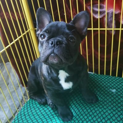 Dampawangza's profile picture. 