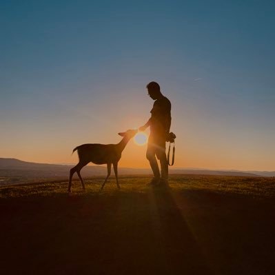 誰も見たことのない絶景よりも、誰もが心の中の記憶に残るそんなとっておきの一枚が撮れたらいいなあ。人と自然の織りなす美しい風景と、何気ない日常の感動を愛する人に届けたい、そんな想いでツイートしています。